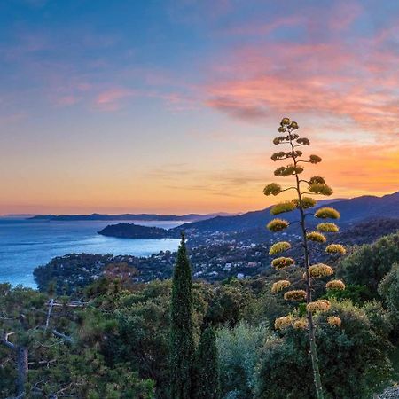 Vistazur Luxueux Appartement Avec Terrasse Et Piscine Le Le Rayol-Canadel-sur-Mer Kültér fotó