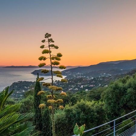 Vistazur Luxueux Appartement Avec Terrasse Et Piscine Le Le Rayol-Canadel-sur-Mer Kültér fotó